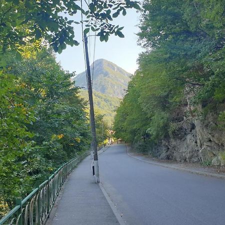 Casa Arion Lägenhet Băile Herculane Exteriör bild