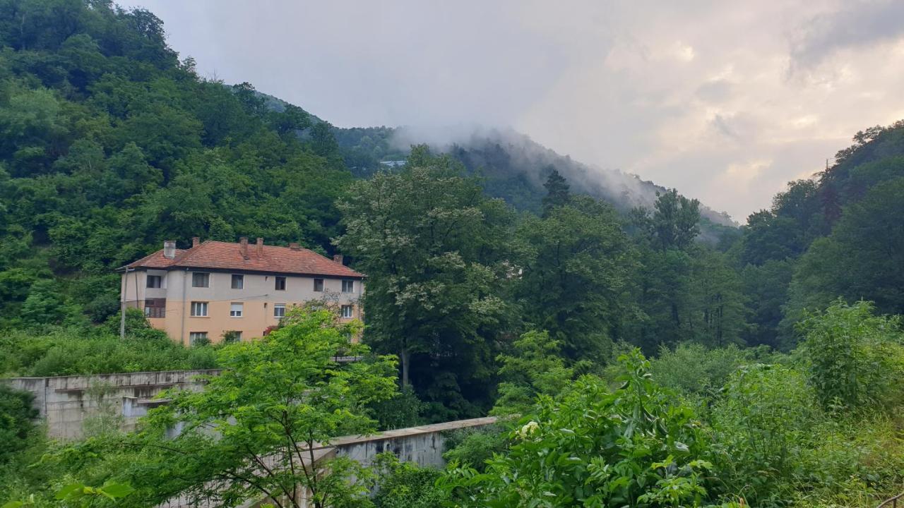 Casa Arion Lägenhet Băile Herculane Exteriör bild