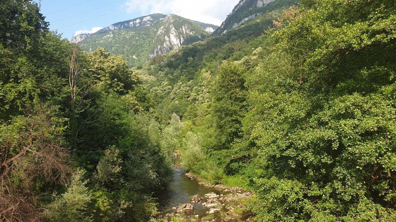 Casa Arion Lägenhet Băile Herculane Exteriör bild