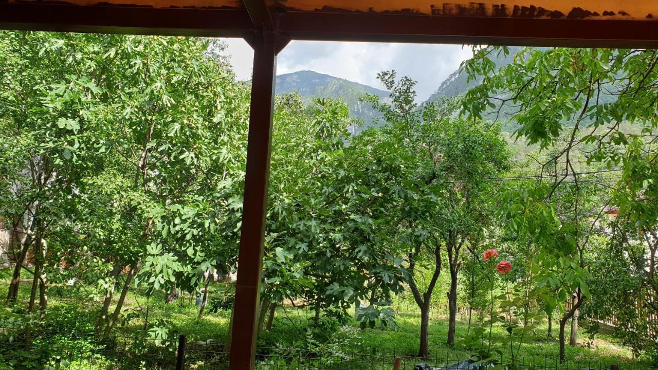 Casa Arion Lägenhet Băile Herculane Exteriör bild