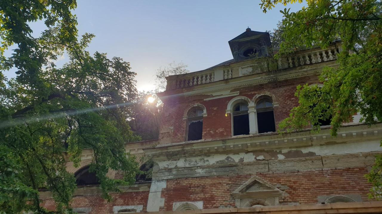 Casa Arion Lägenhet Băile Herculane Exteriör bild