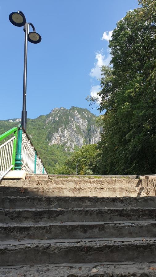 Casa Arion Lägenhet Băile Herculane Exteriör bild
