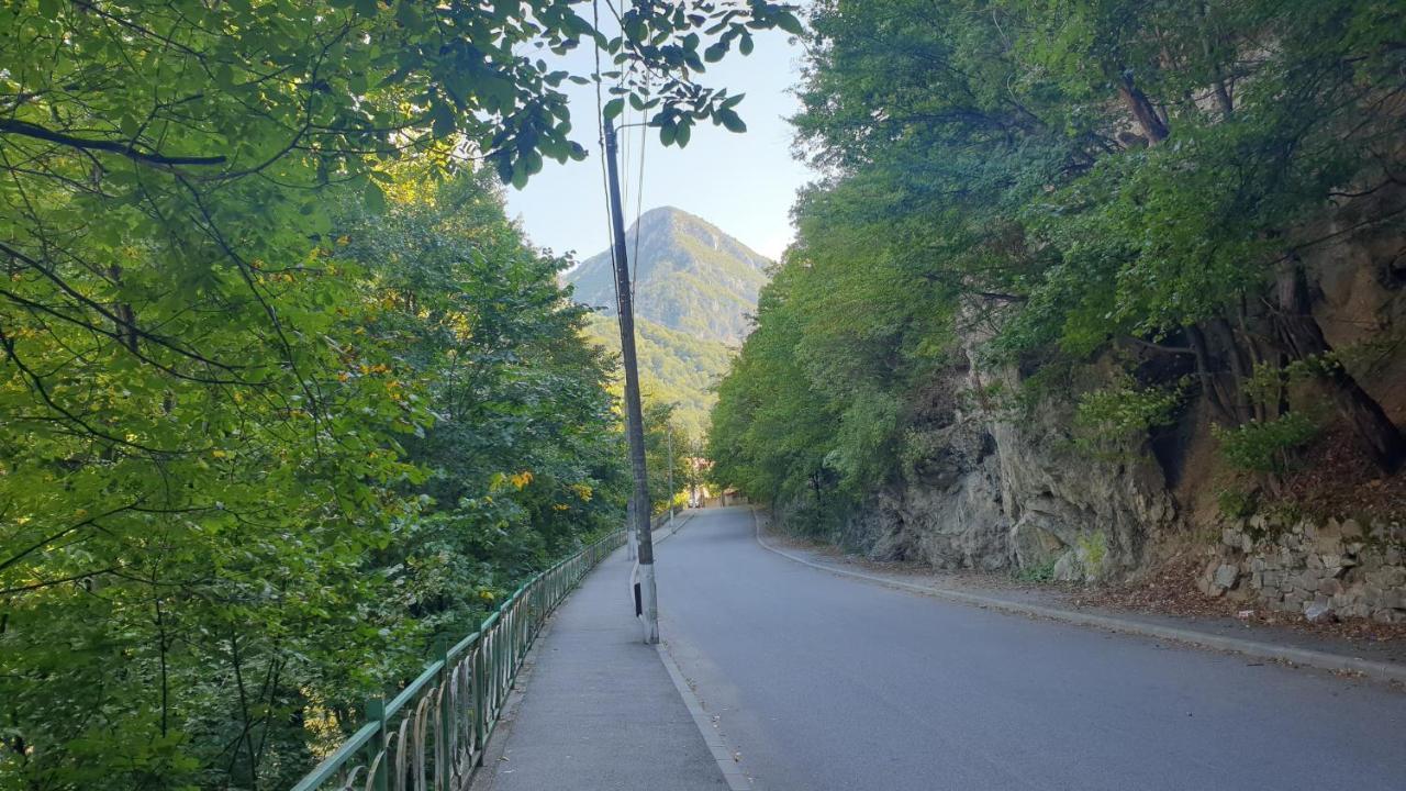 Casa Arion Lägenhet Băile Herculane Exteriör bild