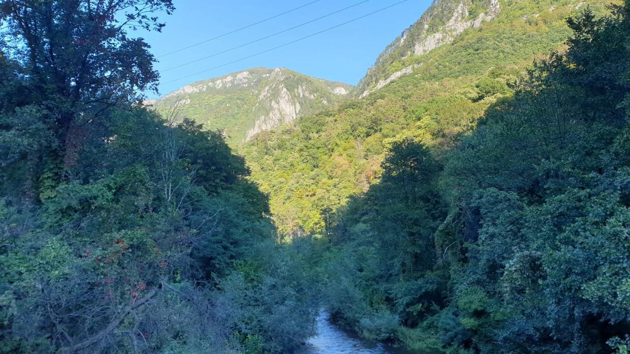 Casa Arion Lägenhet Băile Herculane Exteriör bild